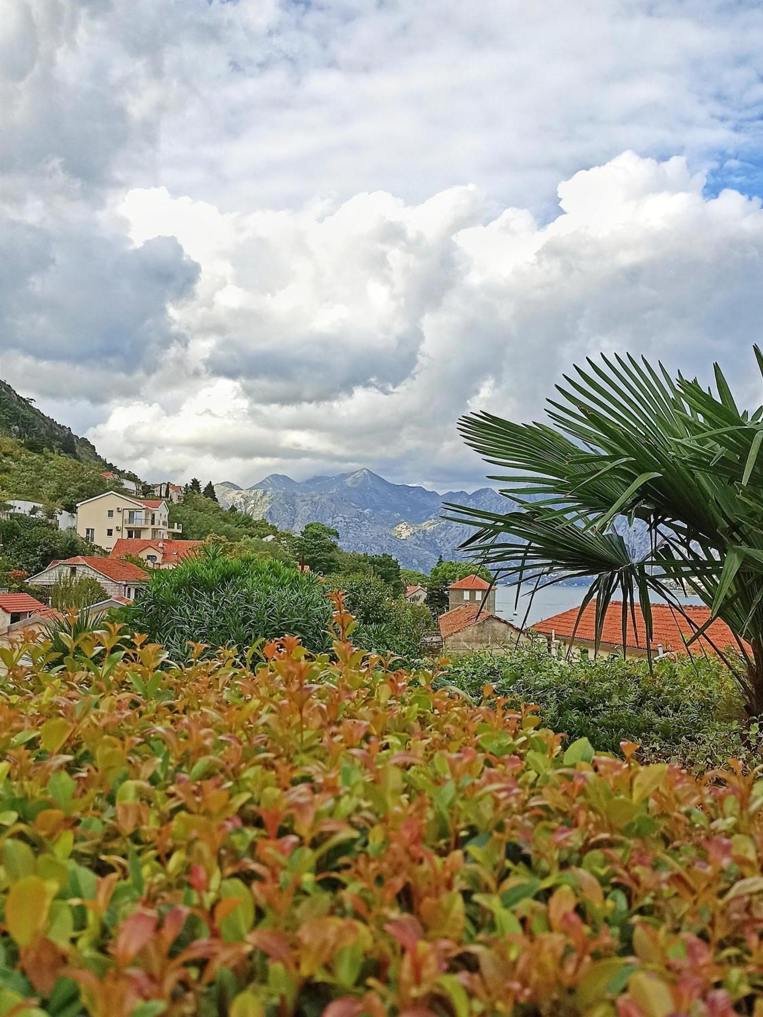 Apartment Kotor Eksteriør billede